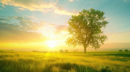 Obraz premium Free good morning scene wallpaper background photo