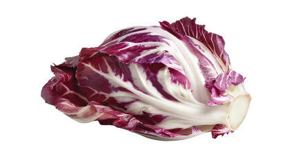 Fresh Radicchio Vegetable Against a White Background