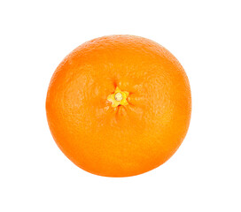 orange transparent png