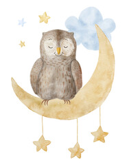 Cute Sleeping Owl. Watercolor Illustration. Nursery art.