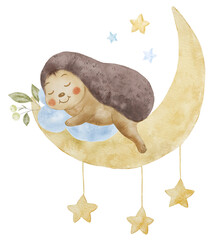 Cute Sleeping Hedgehog. Watercolor Illustration. Nursery Art. © vectorgirl