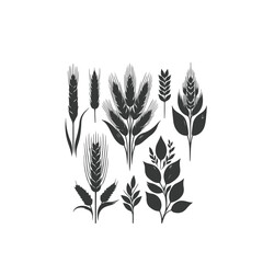 Set of minimalistic flat design wheat silhouettes. Hand drawn vector illustration ,Vector silhouette of wheat. Silhouette. Wheat in the field on a white background.