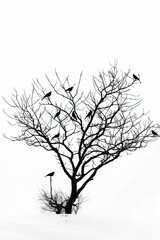 Obraz premium A black and white sketch of a tree with birds perched on its branches