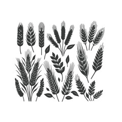 Naklejka premium Set of minimalistic flat design wheat silhouettes. Hand drawn vector illustration ,Vector silhouette of wheat. Silhouette. Wheat in the field on a white background.