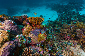 Maldives 2023