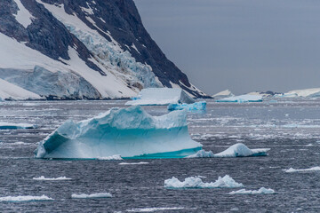 Icebergs and Glaciers align the coast of the Antarctic peninsula, and its many islands. Image taken...