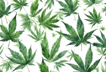 medicine cannabis plant green olated rb watercolor background sativa mp drug white pattern leaves nature