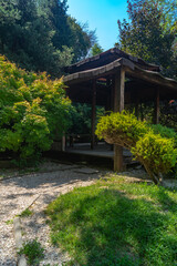 A gazebo in the Japanese style among the trees in the park. Wooden house in Asian style forest