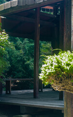 Inside the gazebo in the Asian style in the middle of the forest