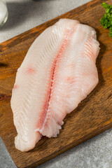 Organic Raw White Catfish Filet