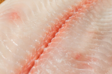 Organic Raw White Catfish Filet