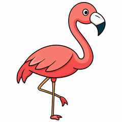 flamingo illustration