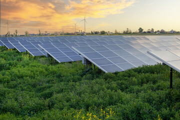 Solar Panel Field at Sunset