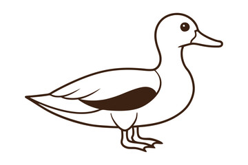 A Cute Duck vector illustration