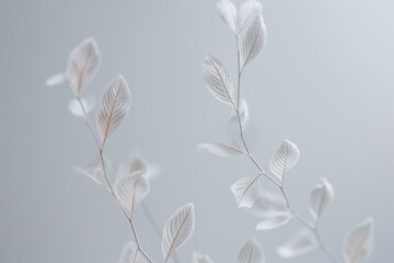 plant herb  branches in neutral silver gray color palette, winter botanical background