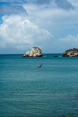 Caribbean beach, paradise, blue, virgin beach, lonely beach