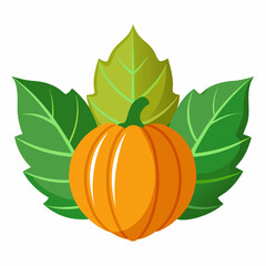 Pumpkin vector illustration, pumpkin vector art, pumpkin silhouette, pumpkin with leaves vector icon