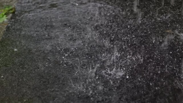 Splash of heavy rain, rainy season. rain puddle closeup of summer heavy rain drops falling into puddles on asphalt