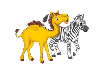 Cute walking camel and zebra isolated on white