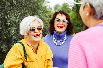 Pensioner female friends meet in the park, chatting and laughing merrily. Friendship and golden age concept.