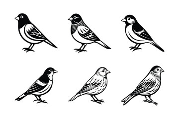 set of bird Black Silhouette Bundle - Stunning Vector Illustrations for Wild or domestic animals Nature Lovers, isolated on white
