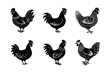 set of hen chicken Black Silhouette Bundle - Stunning Vector Illustrations for Wild or domestic animals Nature Lovers, isolated on white