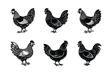 set of hen chicken Black Silhouette Bundle - Stunning Vector Illustrations for Wild or domestic animals Nature Lovers, isolated on white