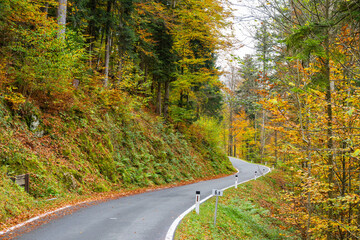 Fototapeta premium Fall - Autumn in the Bregenz Forrest - Bregenzerwald - State of Vorarlberg, Austria