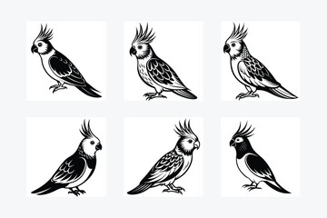 Fototapeta premium set of Cockatiel Parrots Bird Black Silhouette Bundle - Stunning Vector Illustrations for Nature Lovers, isolated on white