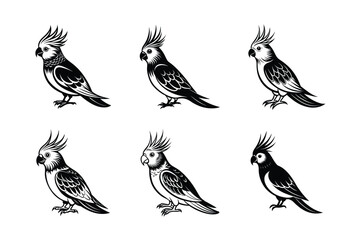 set of Cockatiel Parrots Bird Black Silhouette Bundle - Stunning Vector Illustrations for Nature Lovers, isolated on white