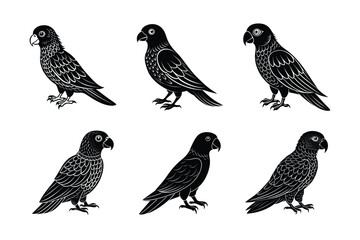 set of Parrot Bird Black Silhouette Bundle - Stunning Vector Illustrations for Nature Lovers, isolated on white