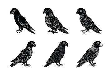 set of Parrot Bird Black Silhouette Bundle - Stunning Vector Illustrations for Nature Lovers, isolated on white