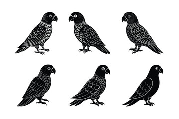 set of Parrot Bird Black Silhouette Bundle - Stunning Vector Illustrations for Nature Lovers, isolated on white