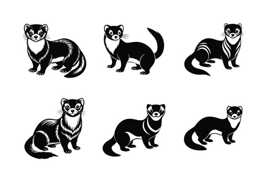Ferret animal vector set, Ferret silhouette, Ferret Bundle, Weasel silhouette, isolated on white -vector illustration 