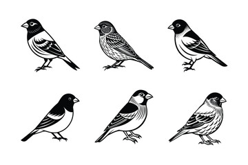 Bird silhouette icon symbol illustration vector set bundle isolated on white