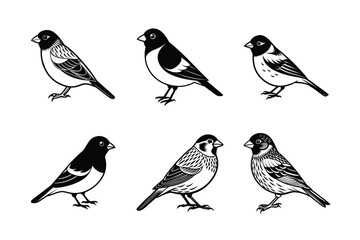 Bird silhouette icon symbol illustration vector set bundle isolated on white