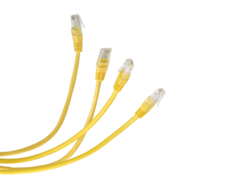 Yellow network cables with molded RJ45 plug on transparent background (PNG File)