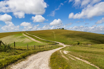 A footpath in the South Downs, with farmland one side and chalk grassland the other