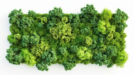 A seamless image of a collection of moss, aerial perspective, placed on a solid black background