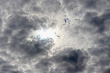 The gray rain clouds in the sky.