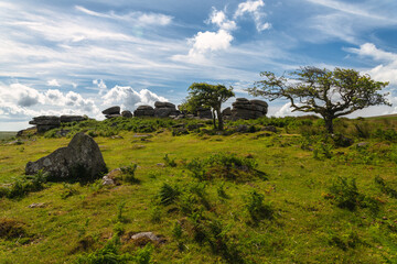 Dartmoor Tor in the Morning.