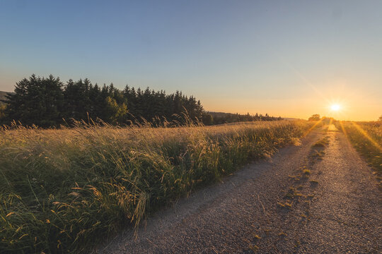 Sonnenuntergang &uuml;ber einem Feld im Westerwald 8