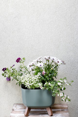 Beautiful floral arrangement with oxeye daisy.