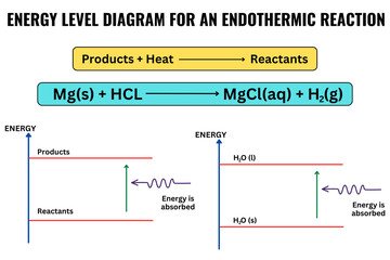 Endothermic processes and reactions heat in. Absorbing and releasing thermal energy. Chemical or a physical process. Thermodynamics. Vector illustration for school science education