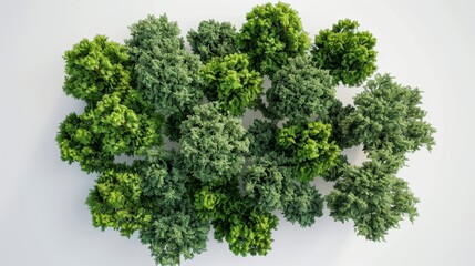 Obraz premium A minimalistic 3D model of densely packed cartoon trees, top-down view, with dynamic lighting and shadows, set against a light, neutral background