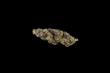 Obraz premium Cannabis Product Marketing | Strain: GMO Cookies | Grower: Golden Shores Cannabis Company, Warren, MI