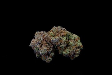Cannabis Nug, Papaya | Grower: Golden Shores Cannabis Company, Warren, MI