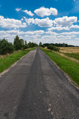 Landscape with old asphalt road through meadows on flatlands in Poland