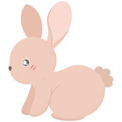 Rabbit cartoon 