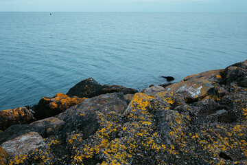 Rocky Shoreline with Yellow Mossy Rocks